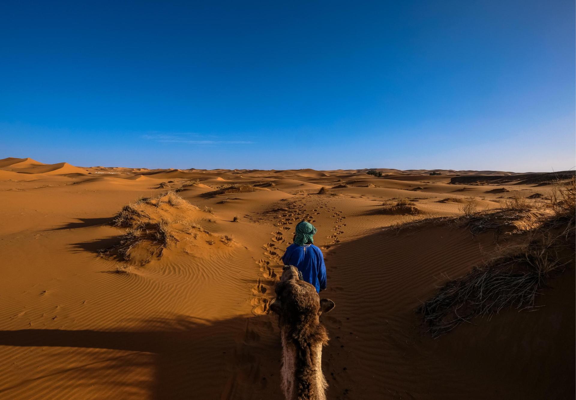 Male with blue shirt walking front camel middle sand dunes with clear sky